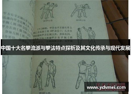 中国十大名拳流派与拳法特点探析及其文化传承与现代发展 中国十大名拳流派与拳法特点探析及其文化传承与现代发展