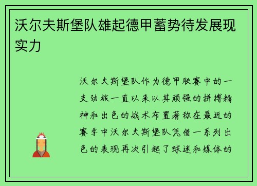 沃尔夫斯堡队雄起德甲蓄势待发展现实力